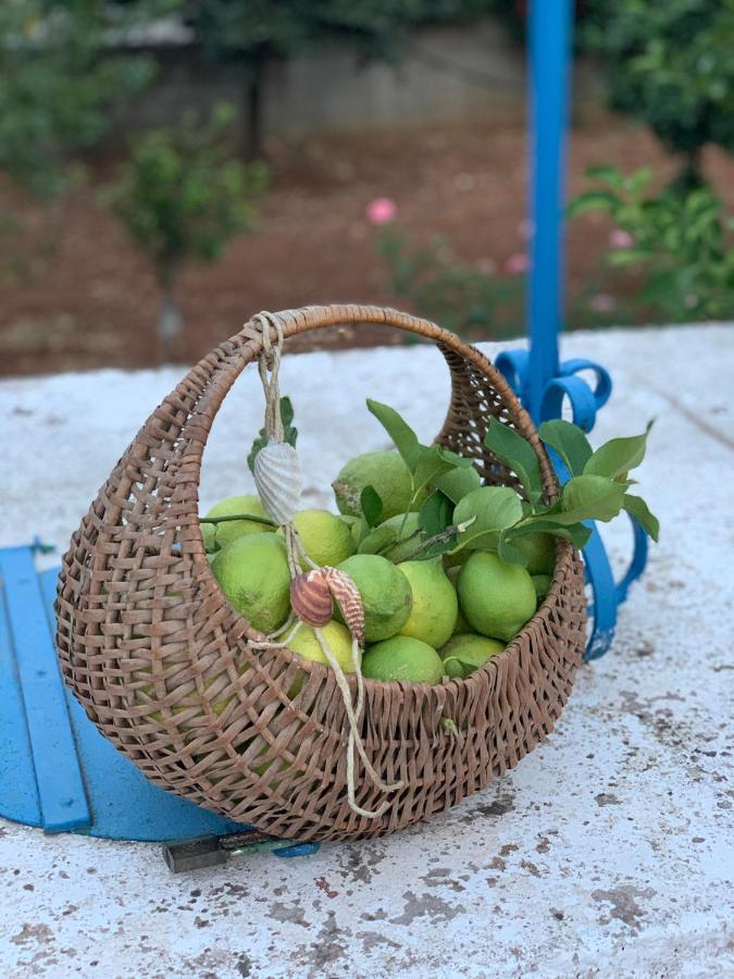 Al Pepe Nero - Casa In Campagna A Soli 5 Minuti Dal Mare Polignano a Mare Zewnętrze zdjęcie