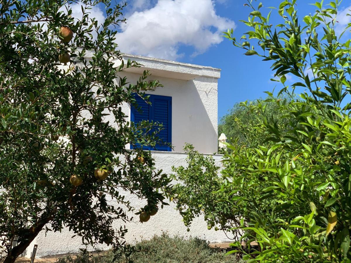 Al Pepe Nero - Casa In Campagna A Soli 5 Minuti Dal Mare Polignano a Mare Zewnętrze zdjęcie